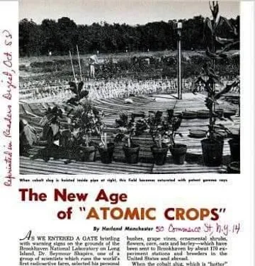 suppressed_atomic_crops.jpg
